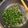 Paarukoo's cooksnap of when they made セロリの葉のふりかけ・佃煮ごま油炒め.