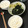 tamotan∞'s cooksnap of when they made 生のりを味わう✦おかかと生のりのっけご飯.