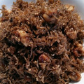 グッチhiroko's cooksnap of when they made 簡単♪ちりめんじゃことクルミの佃煮☆.