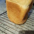 IRUZE's cooksnap of when they made HBで♪ソフトフランス食パン.