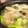 みーみふらぺちーの's cooksnap of when they made 手羽先で簡単 薬膳鍋 サムゲタン　参鶏湯.