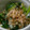 ヨシヨッシー's cooksnap of when they made ☆魔法のほうれん草☆お浸し.