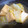 ダビデンコ's cooksnap of when they made 白菜と油揚げのたいたん（煮物）.
