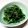 sato3★'s cooksnap of when they made 水菜のお浸し.