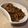 ぎんはる's cooksnap of when they made 豚肉と舞茸のにんにく醤油炒め.
