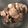 まっきー♪３７'s cooksnap of when they made ＊柔らか美味しい牛すじになる方法＊.