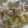 つばき417's cooksnap of when they made やわらか☆ささみの塩麹蒸し.