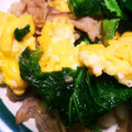 てとりすさん's cooksnap of when they made 豚肉と菜の花＊ふわふわ卵の塩コショウ炒め.