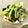 みい56's cooksnap of when they made 小松菜としらすの炒め物.