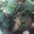 1男4女のママ's cooksnap of when they made コストコ ヨシダソースで簡単スペアリブ！.