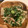 キャンｄ's cooksnap of when they made 【大根葉と おじゃこの炒め物】.