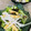 LimeLunch's cooksnap of when they made 大根・あぶりうす揚げとトマトのサラダ♪.