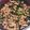 クッキングりな's cooksnap of when they made 冷蔵庫で保存！ひき肉とニラのピリ辛丼.