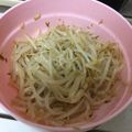 あああいうえお's cooksnap of when they made マクロビ☆もやしナムル☆作り置きおかず.