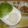 こっとんている's cooksnap of when they made サラダ菜巻き.