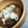 ふらり2号☆'s cooksnap of when they made 蒟蒻と牛スジ肉のどて煮.