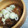 ふらり2号☆'s cooksnap of when they made 蒟蒻と牛スジ肉のどて煮.