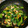 みつきのママ☆'s cooksnap of when they made 簡単！小松菜とウインナーのオイスター炒め.