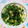 クックQXAUIT☆'s cooksnap of when they made 豆苗とうすあげの塩昆布和え.