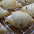 デラロサ's cooksnap of when they made リッチ✿ロールパン～発酵バター使用～.