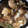 クックSNC71R☆'s cooksnap of when they made 母風　鶏すき.