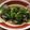 クック2JWD2O☆'s cooksnap of when they made ロール青梗菜.