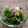 栗丸うさぎ's cooksnap of when they made ほうれん草のおひたし.