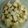 クックBNQ5PD☆'s cooksnap of when they made 一人暮らしを始めた君に 大根あっさり.
