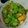 クックBNQ5PD☆'s cooksnap of when they made セロリのスープ.