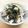 はらぺこあおちゃん's cooksnap of when they made お酒にもご飯にも！ネギ塩ささみ.