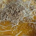 あいひよ's cooksnap of when they made 辛さがヤミツキ♪簡単！もやし味噌ラーメン.