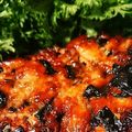 やぎあん's cooksnap of when they made 鶏ひき肉の照り焼きハンバーグ.