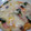 emiワン's cooksnap of when they made ちょっと本格？手作りピザ生地.