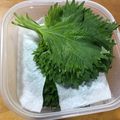なみか☆'s cooksnap of when they made 大葉を上手に保存して無駄なく.
