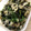 ﾐｰﾄﾊﾟｲママ's cooksnap of when they made ほうれん草とれんこんの黒胡麻ナムル.