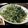 クックR9QJIM☆'s cooksnap of when they made 速攻でしゃきしゃき水菜のからしあえ.