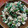 クックVOY1Q3☆'s cooksnap of when they made ほうれん草の白和え.