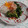 イチゴ、イチゴ。's cooksnap of when they made 【農家のレシピ】春菊のみぞれ和え.