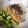 マヂック's cooksnap of when they made 簡単ランチ　アボカド納豆ごはん.