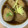 kuro～'s cooksnap of when they made めっけもん ♪料亭風！里芋のゆず味噌煮.