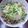 NEXT LEVEL's cooksnap of when they made きのこのみぞれかけ.