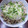 NEXT LEVEL's cooksnap of when they made きのこのみぞれかけ.