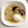 クックyama125's cooksnap of when they made 大根の煮付けをやってみた。.