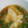 フミココ's cooksnap of when they made もち 大根おろし.