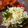 ジョンリークッカー's cooksnap of when they made キャベツの付け合わせ.