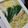 ぺ～こ☆'s cooksnap of when they made ✿手羽先でコラーゲン摂取♬鍋✿.