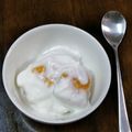 kirinda's cooksnap of when they made ドライマンゴーが復活☆とろとろヨーグルト.