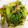 とっとっとまとちゃん's cooksnap of when they made 豆苗と白ネギのＸＯ醤炒め.