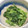 youtapapa's cooksnap of when they made 冷酒に合う♪春菊のからしマヨ和え.