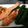 ももpppp's cooksnap of when they made 魚・鮭の柔らかいレモン照り焼き♪ムニエル.